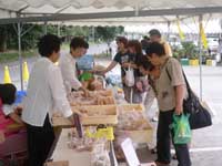 2009_08_29_02.jpg