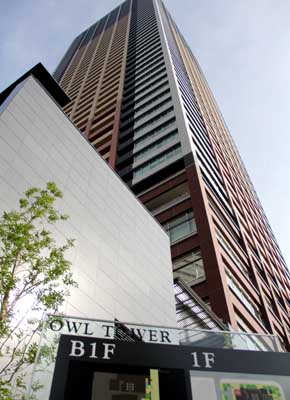 owltower_01.jpg